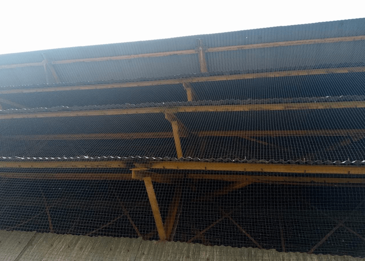 Industrial Bird Netting in Pune