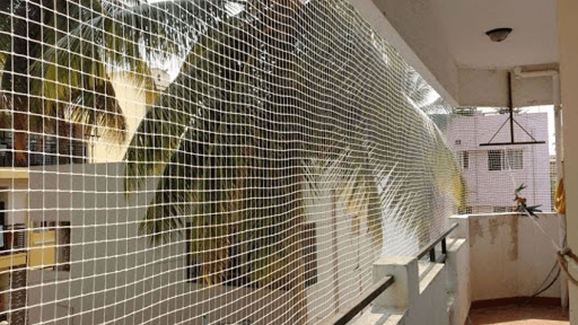 Residential Bird Netting in Pune
